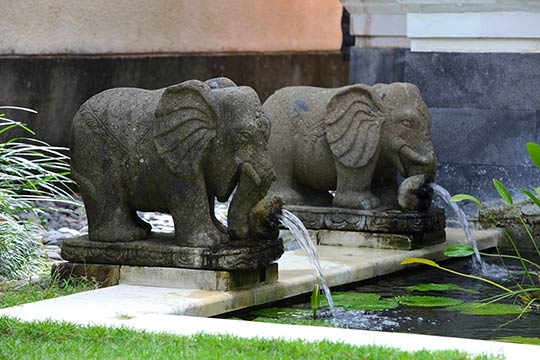 Elephant water features